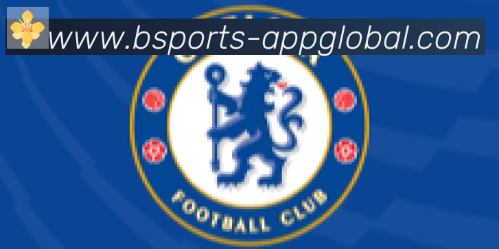 bsports体育合作伙伴