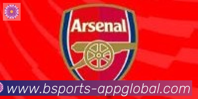 bsports体育合作伙伴